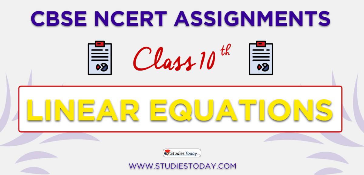 Assignments for Class 10 Linear Equations PDF Download